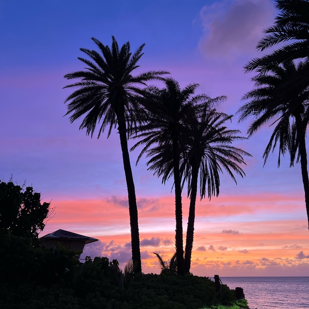 Meet your Posher, Mille